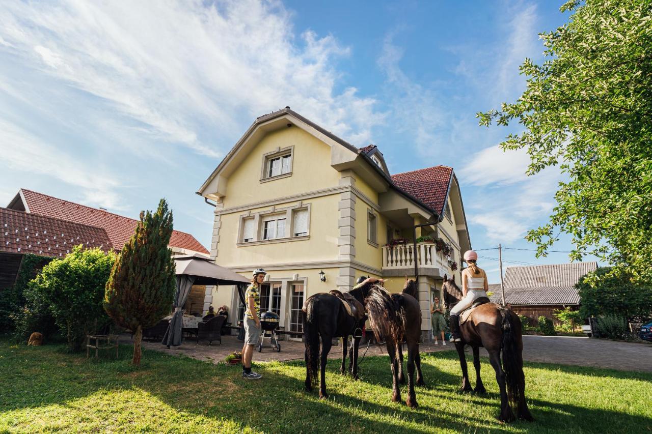 Apartment Sneznik Stari Trg pri Lozu Exterior foto